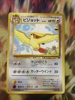 Pidgeot