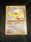 Pidgeot