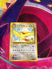 Pidgeot