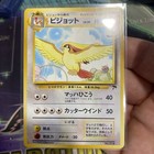 Pidgeot