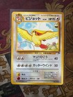 Pidgeot