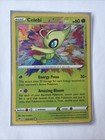 Celebi
