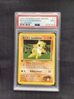 Brock's Sandshrew