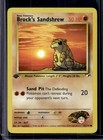 Brock's Sandshrew