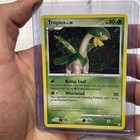 Tropius