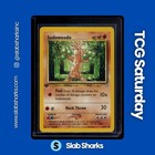 Sudowoodo