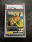 Raichu GX