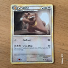 Ursaring