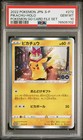 Pikachu [Holo] 