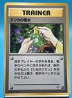 Erika's Perfume