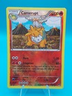 Camerupt