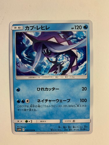 Tapu Fini