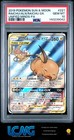 Raichu & Alolan Raichu GX
