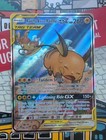Raichu & Alolan Raichu GX