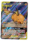 Raichu & Alolan Raichu GX
