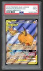 Raichu & Alolan Raichu GX