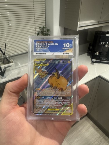 Raichu & Alolan Raichu GX