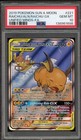 Raichu & Alolan Raichu GX