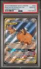 Raichu & Alolan Raichu GX