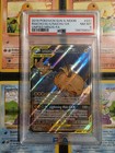 Raichu & Alolan Raichu GX
