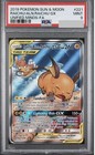 Raichu & Alolan Raichu GX