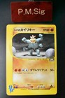 Bruno's Machamp