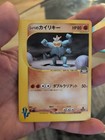 Bruno's Machamp