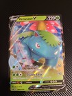 Venusaur V