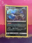 Sharpedo