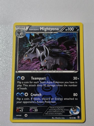 Team Aqua's Mightyena