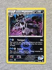 Team Aqua's Mightyena