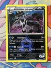 Team Aqua's Mightyena