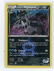 Team Aqua's Mightyena