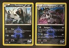 Team Aqua's Mightyena