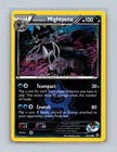 Team Aqua's Mightyena