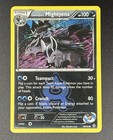 Team Aqua's Mightyena