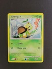 Turtwig