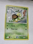Turtwig