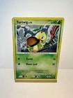 Turtwig