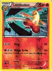 Combusken