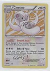 Cinccino