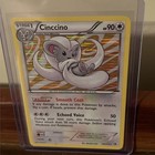 Cinccino