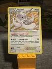 Cinccino