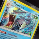 Gyarados