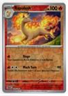 Rapidash