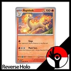 Rapidash