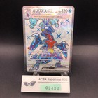 Garchomp ex