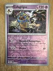 Cofagrigus