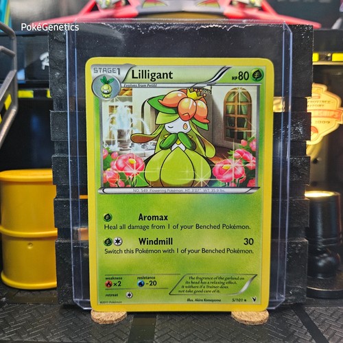 Lilligant