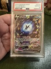 Lumineon V